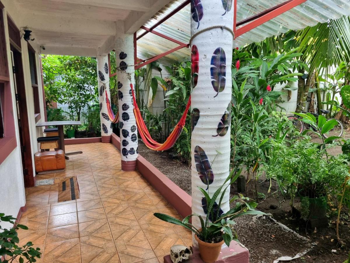 Wildlife Art Tortuguero Ξενοδοχείο Εξωτερικό φωτογραφία