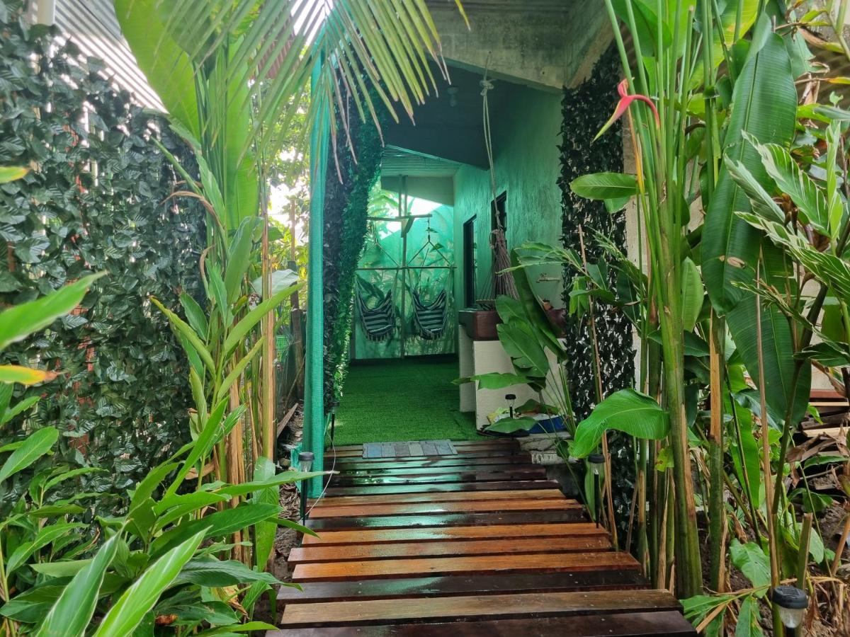 Wildlife Art Tortuguero Ξενοδοχείο Εξωτερικό φωτογραφία