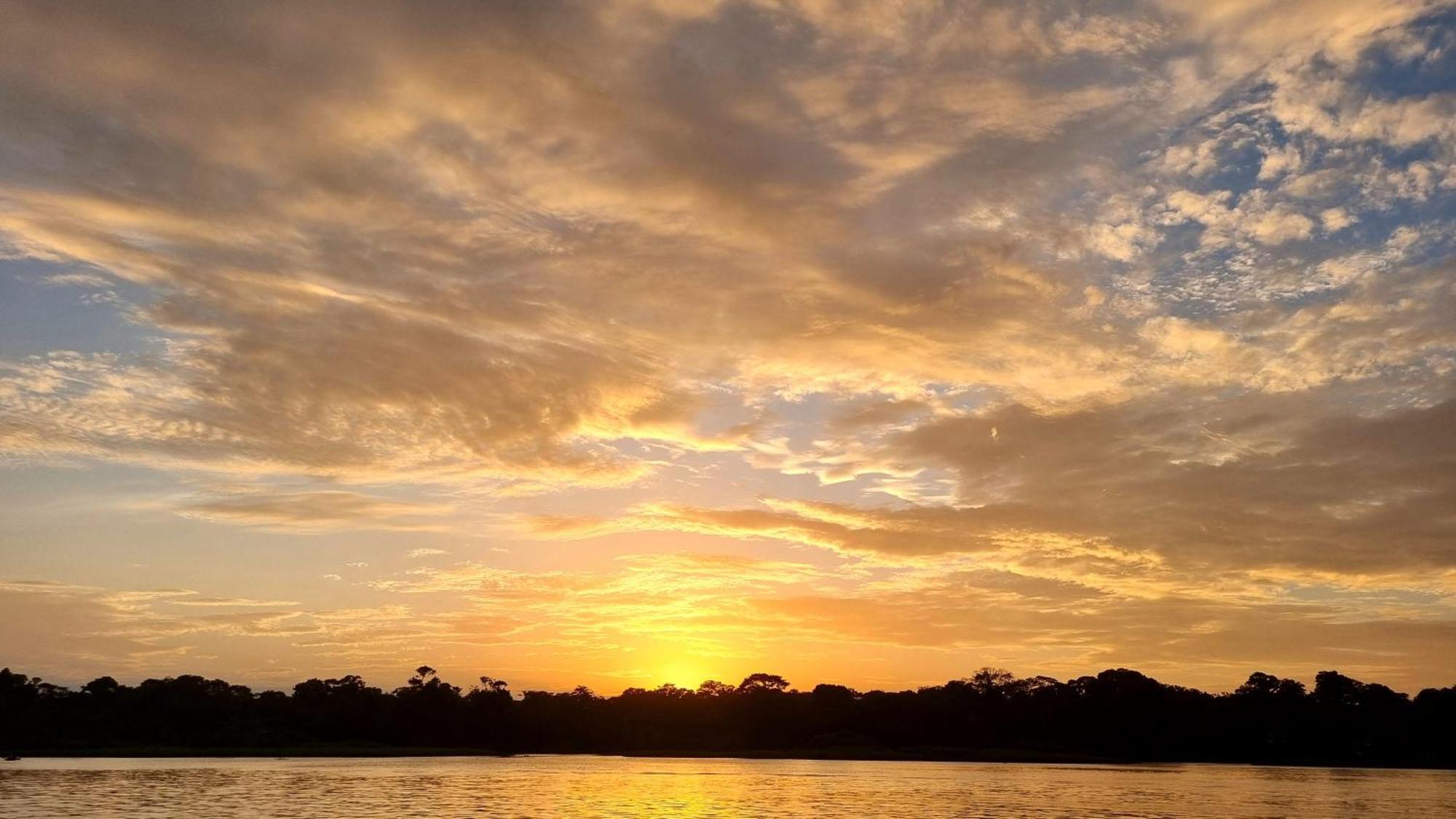 Wildlife Art Tortuguero Ξενοδοχείο Εξωτερικό φωτογραφία