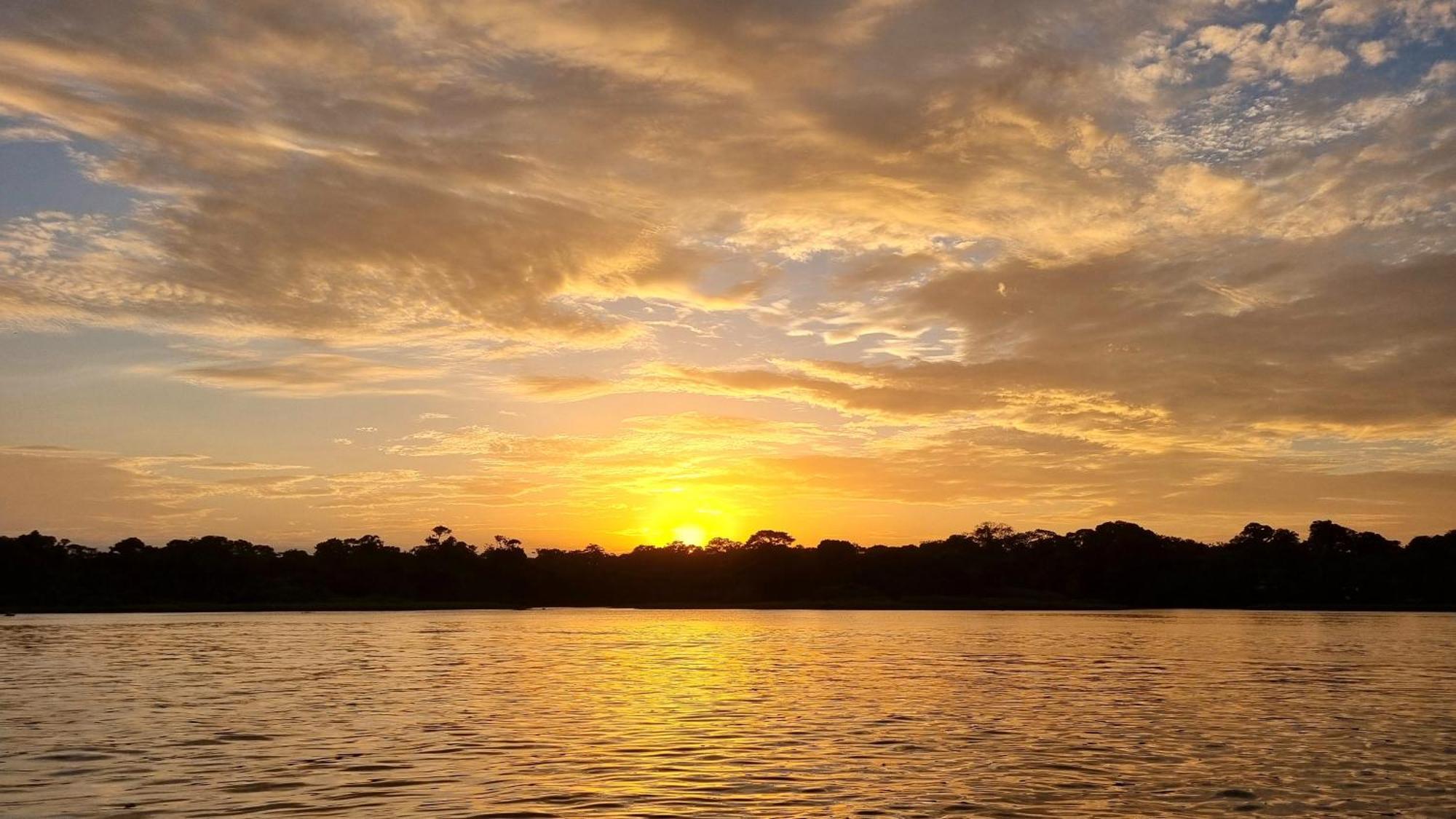 Wildlife Art Tortuguero Ξενοδοχείο Εξωτερικό φωτογραφία