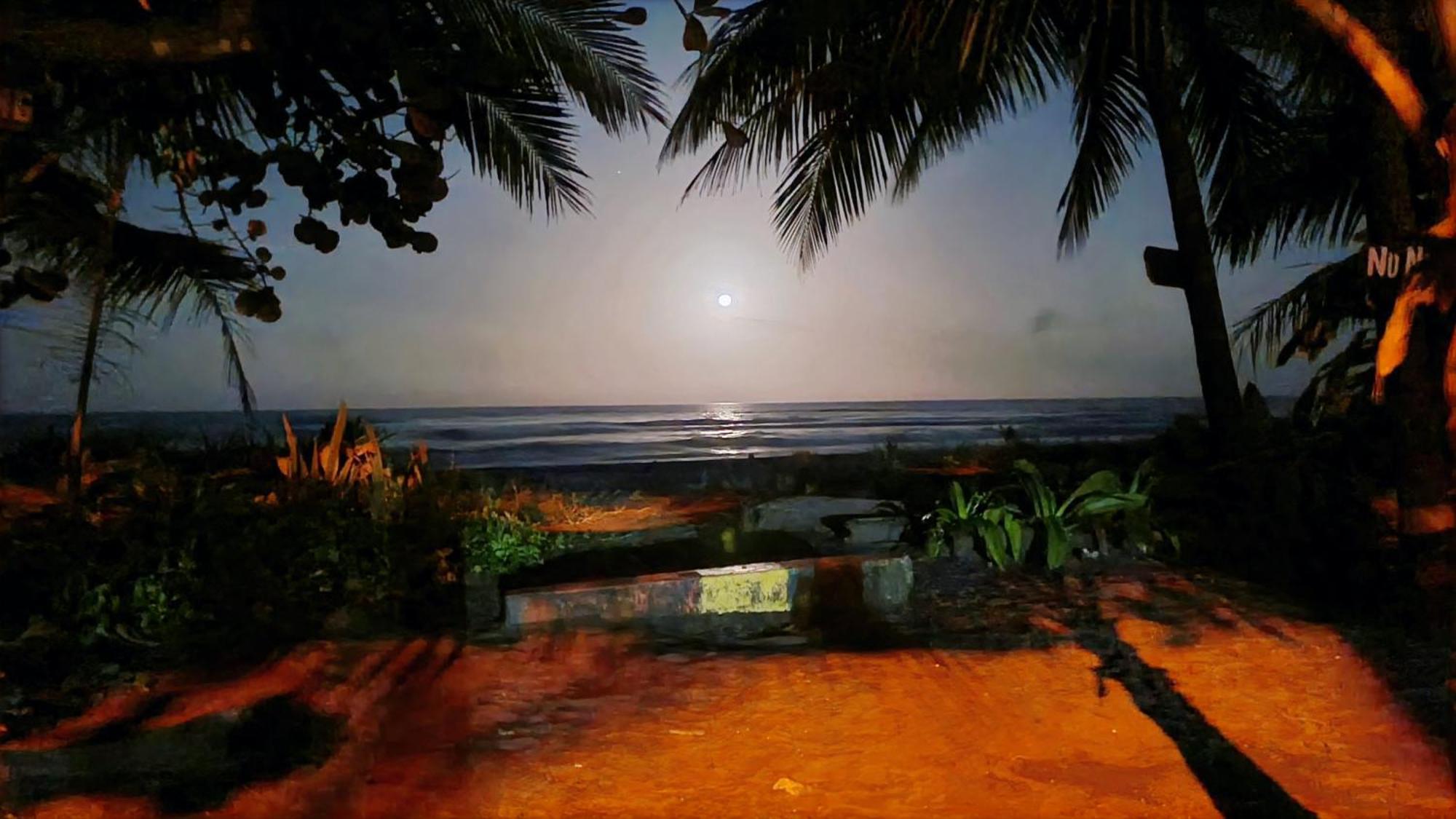Wildlife Art Tortuguero Ξενοδοχείο Εξωτερικό φωτογραφία