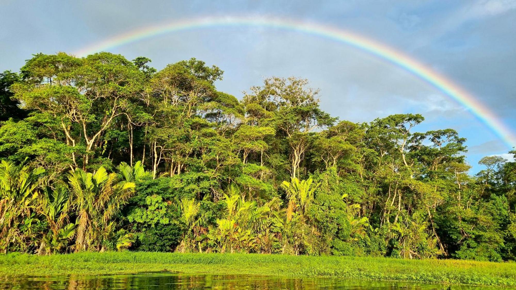 Wildlife Art Tortuguero Ξενοδοχείο Εξωτερικό φωτογραφία