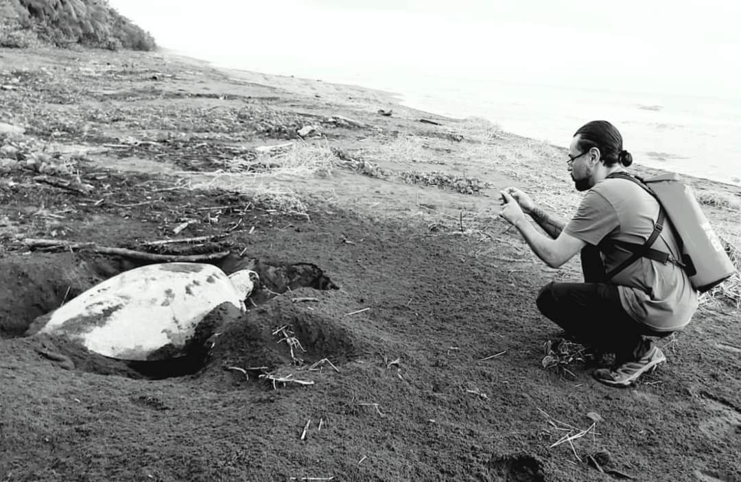 Wildlife Art Tortuguero Ξενοδοχείο Εξωτερικό φωτογραφία